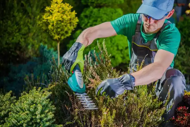 landscaping services Warrensburg
